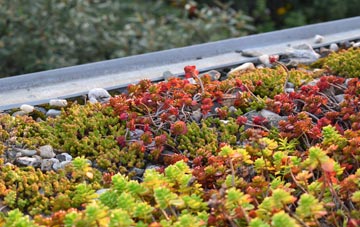 the cost of Rosyth green roof installation