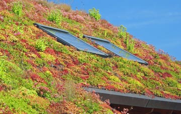 Rosyth living roof systems